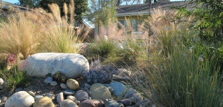 Lessons From The Landscape